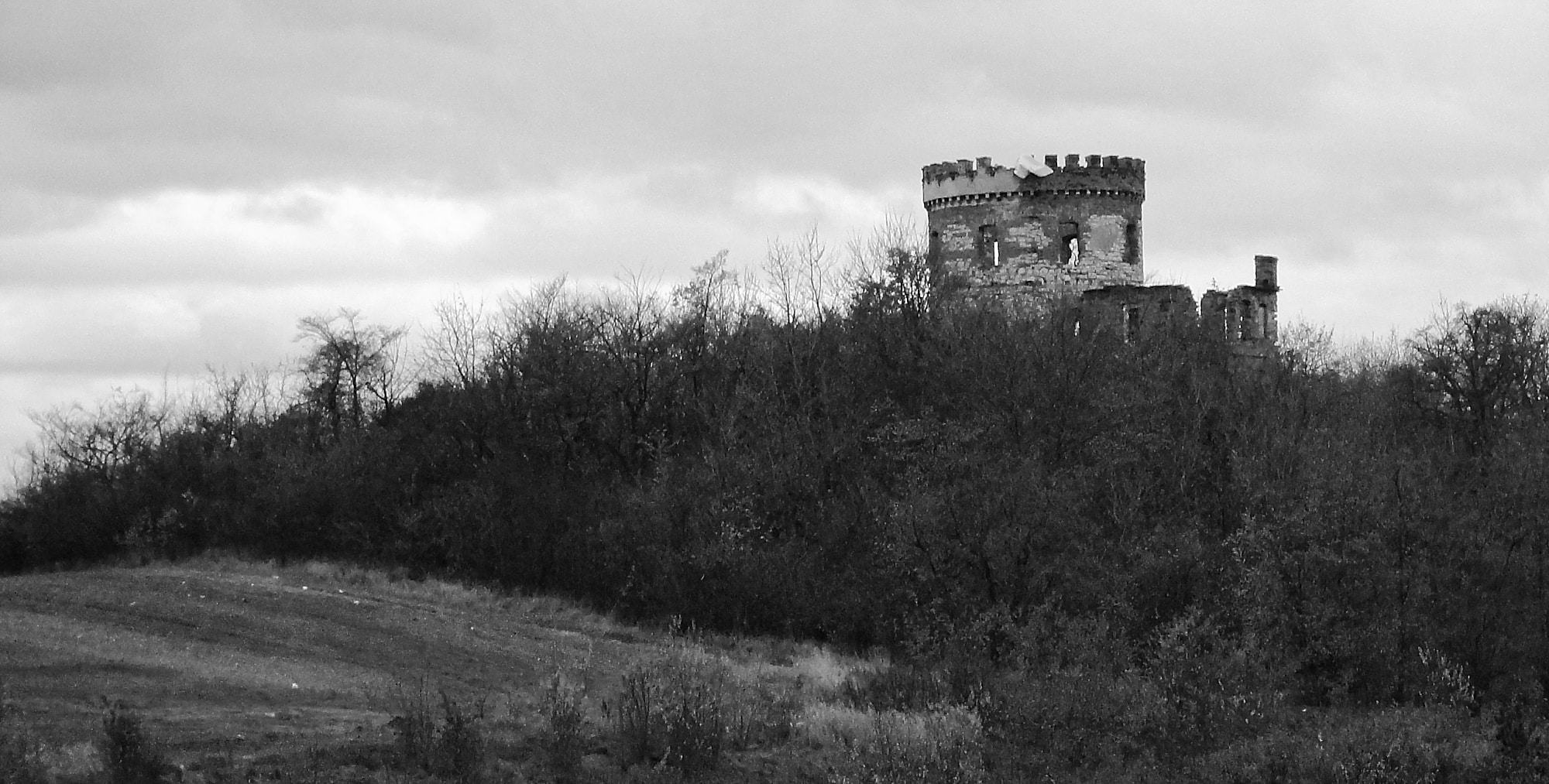 DSC04316_W32 Beitragsbild