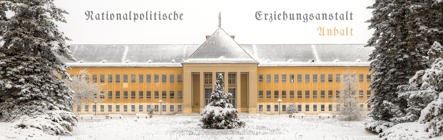 NPEA-Anhalt_Kopf Beitragsbild