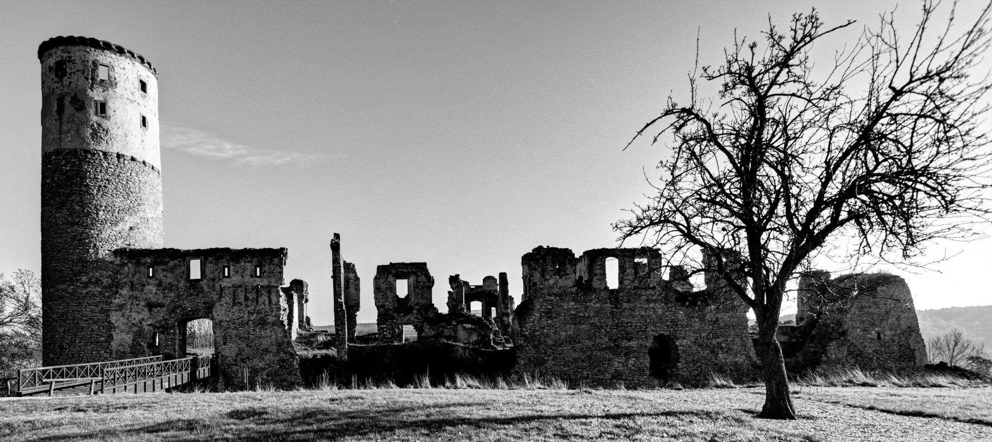 DSC00955_DxO-1TLP_W32