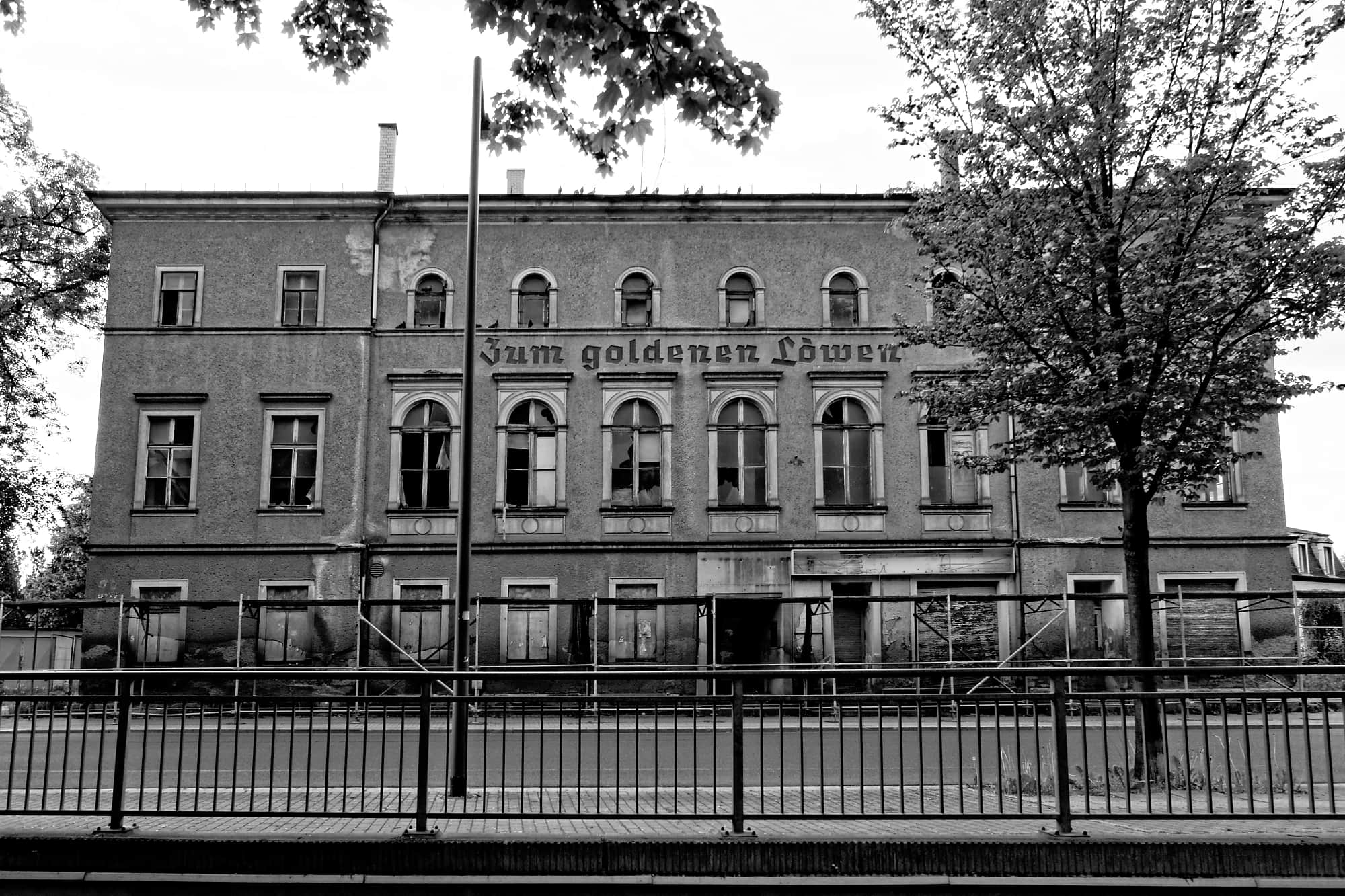 DSC01759_2_DxO_W32 Goldener Löwe von vorn