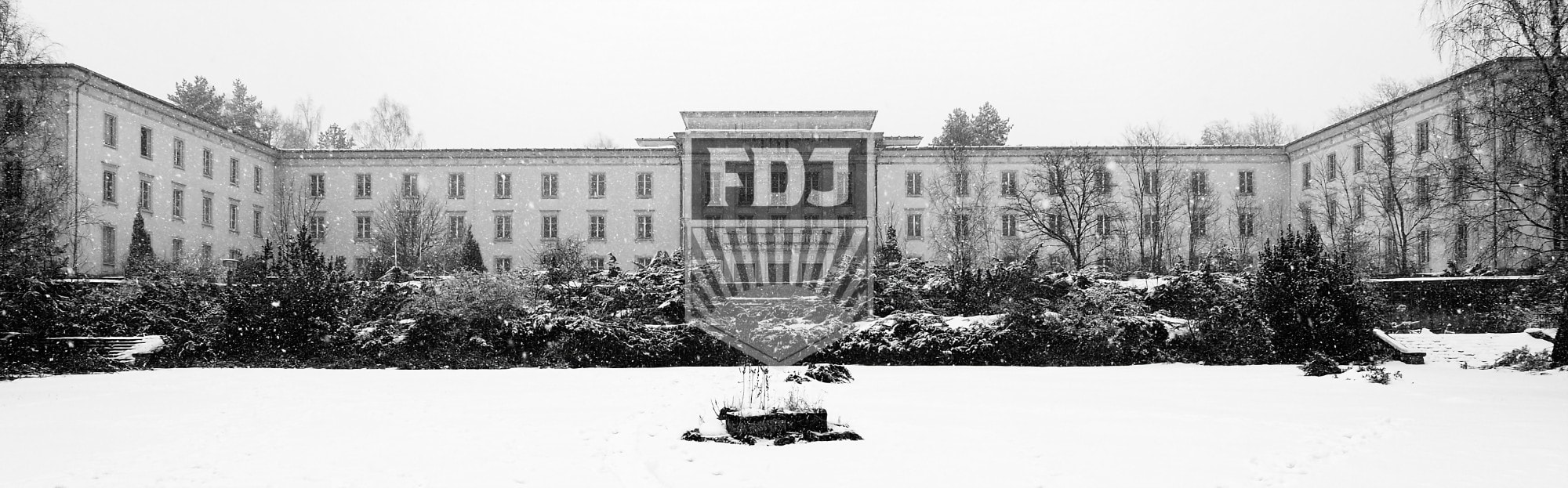 FDJHead Vorschaubild