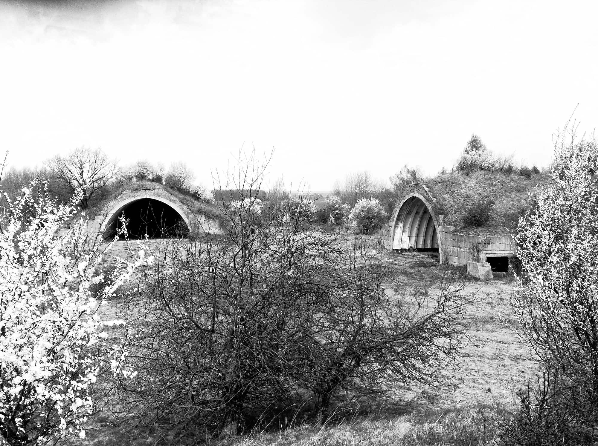 IMG_1432 (1)_W32 Luftdeckung