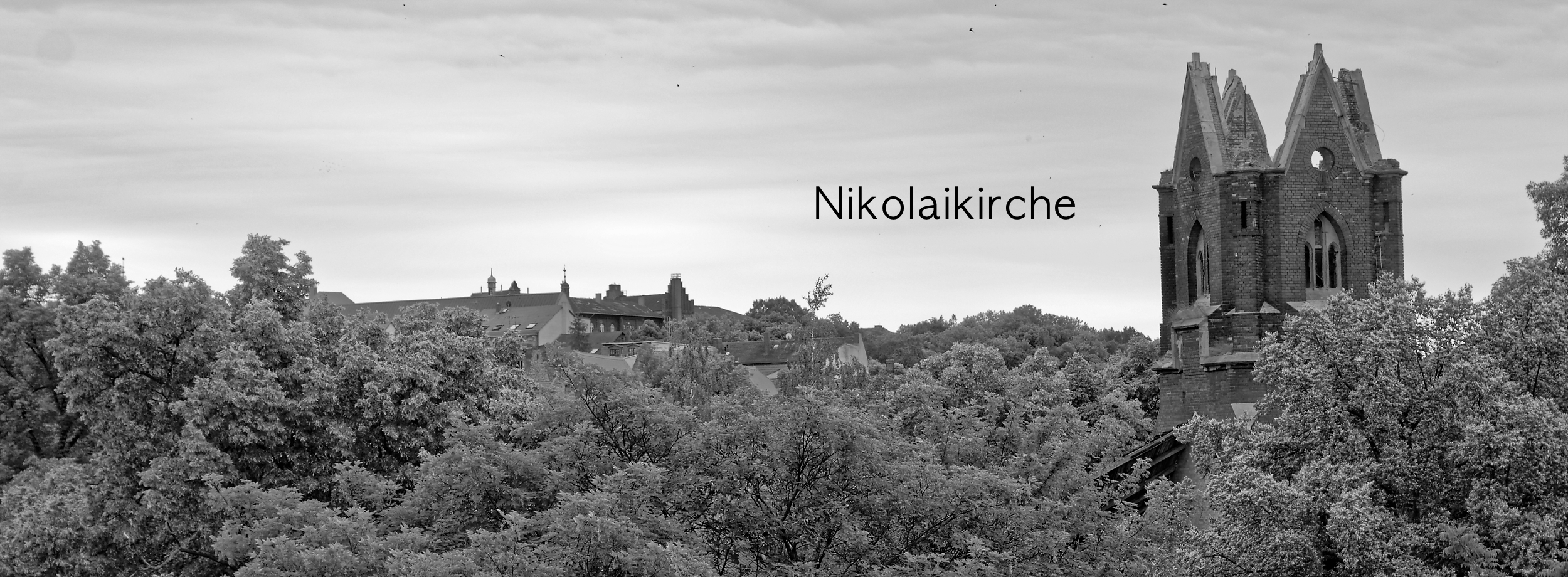 Nikolaikirche-Zeitz_Kopf Beitragsbild